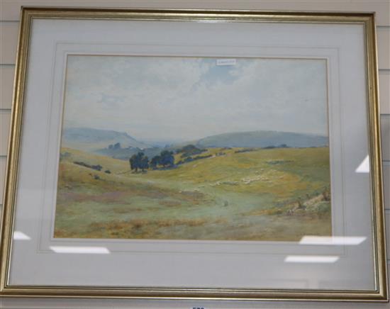 John Charles Dollman (1851-1934), watercolour, Sheep on the downs, signed, 38 x 54cm